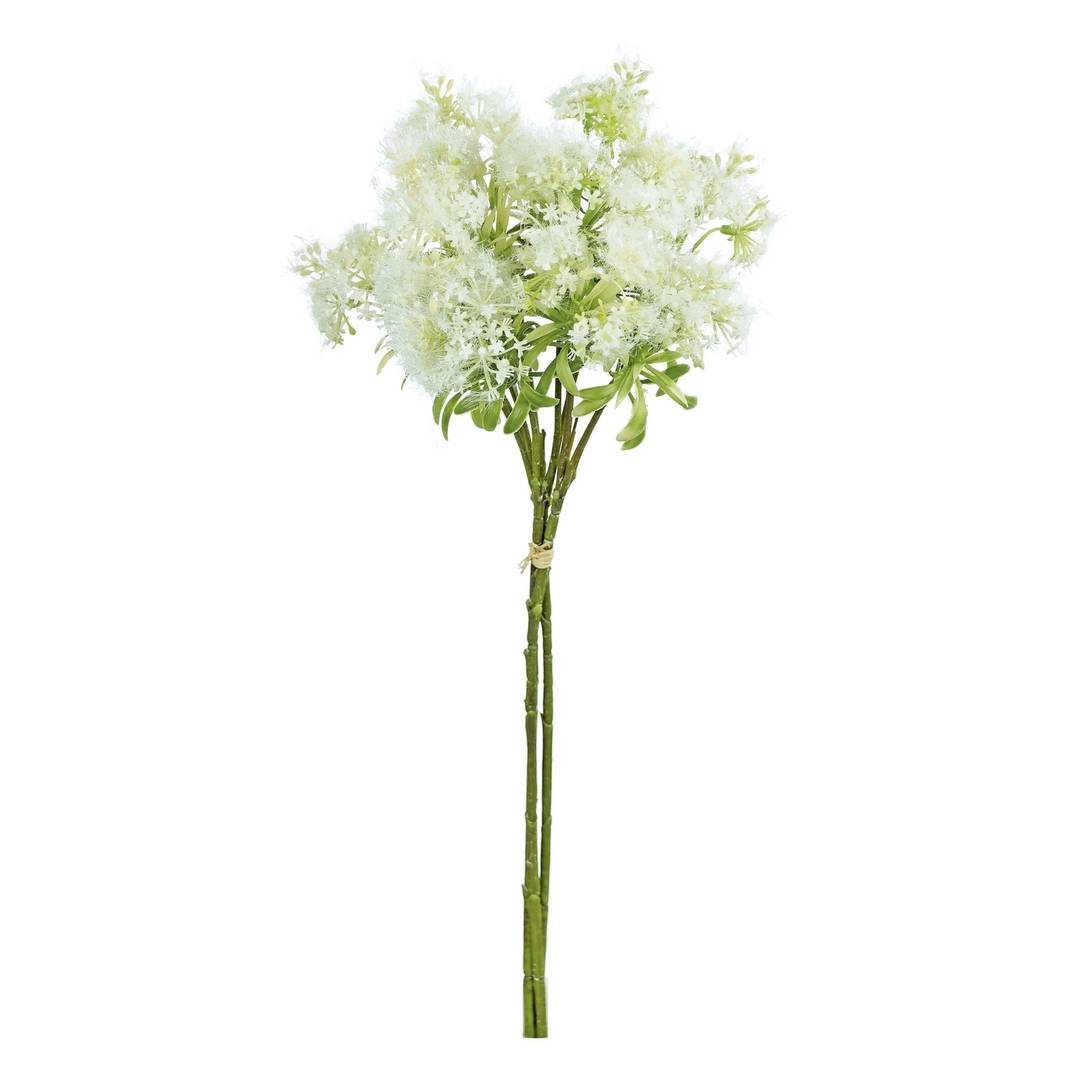 Blooming Queen Anne's Lace