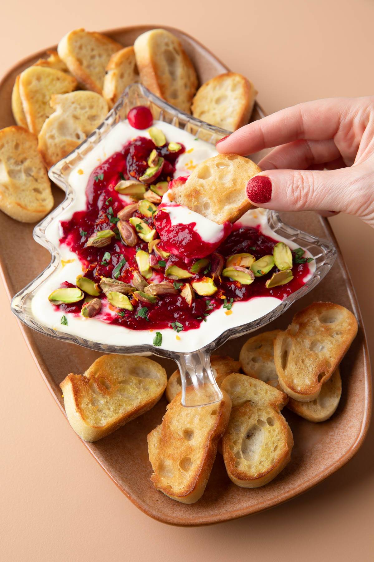 cranberry feta dip with crostini