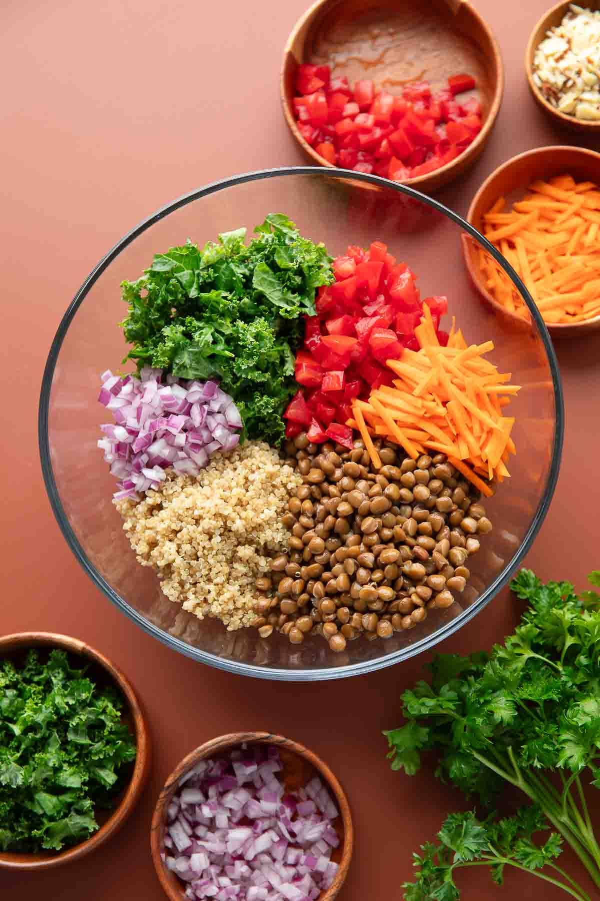 quinoa salad with carrots, onion, kale, tomatoes, and lentils