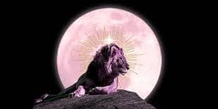 Full Moon in Leo - Bold Moves & Breakthroughs