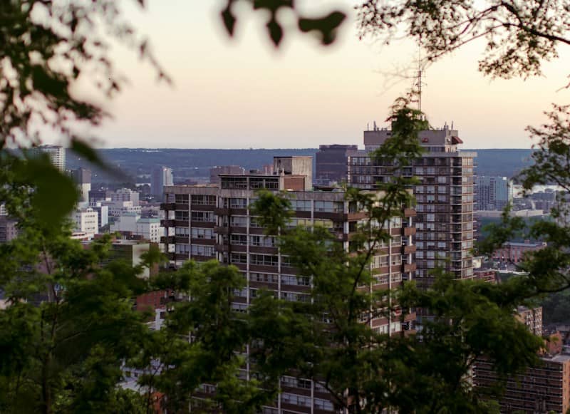 City skyline with trees in foreground at sunset