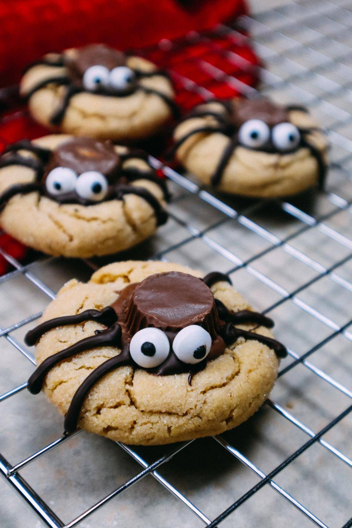 Pumpkin cheesecake bars