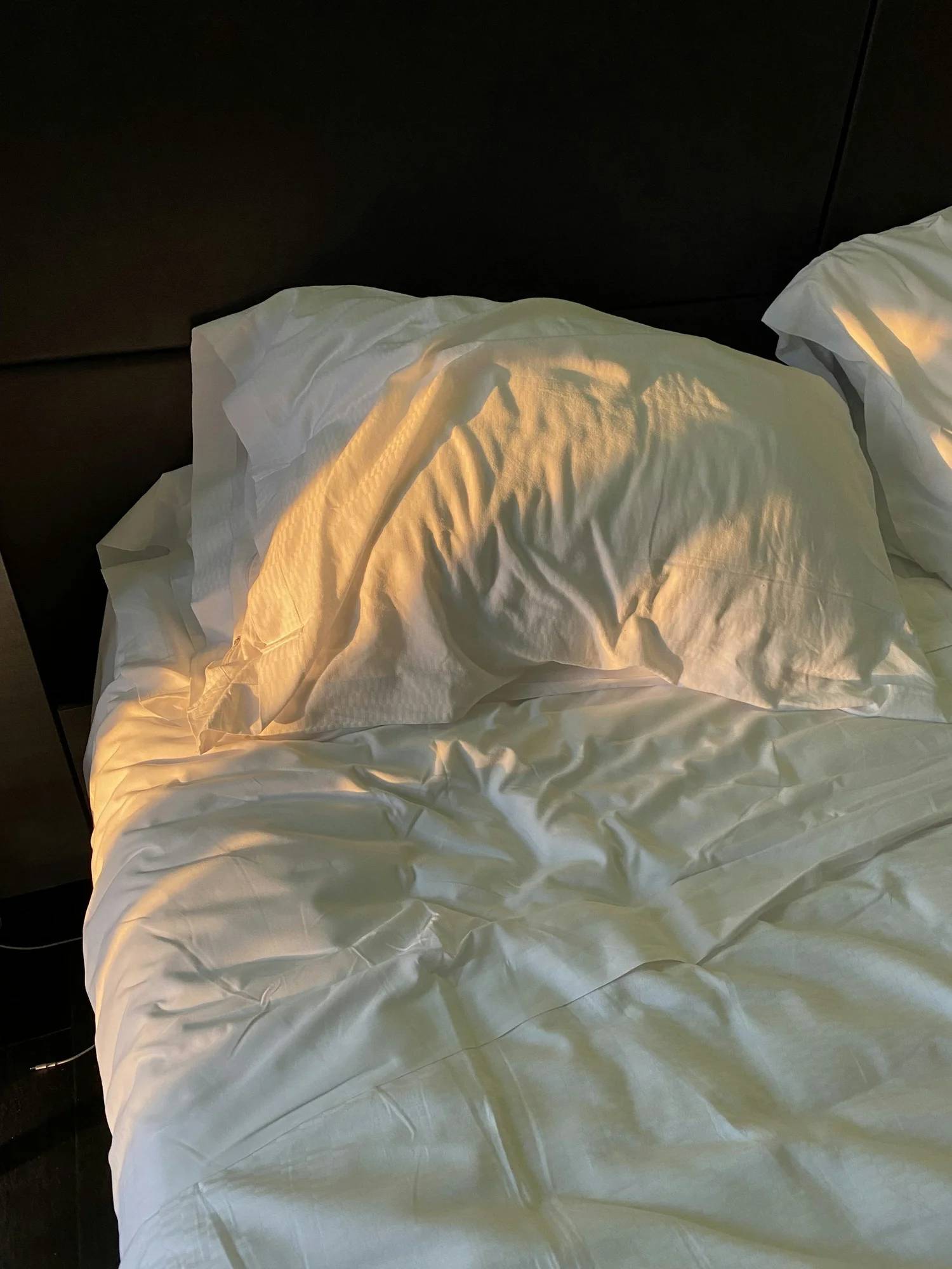 Sunlight falling across rumpled white bed sheets in the early morning