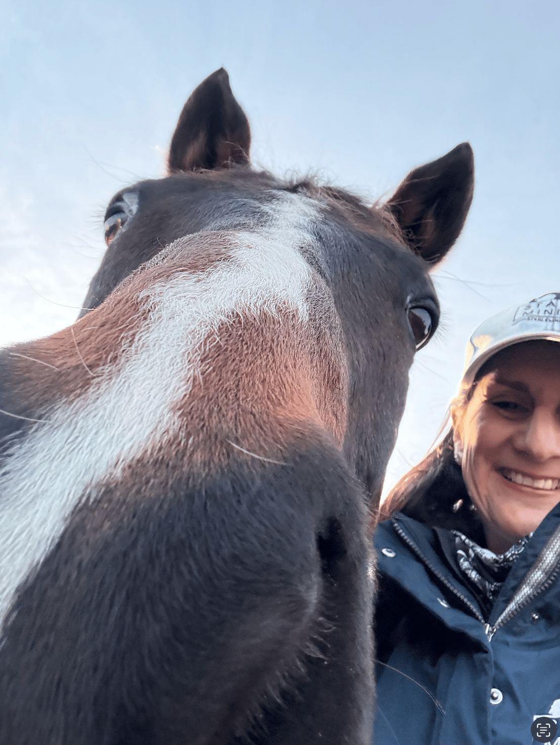 Needing a little grit this holiday?