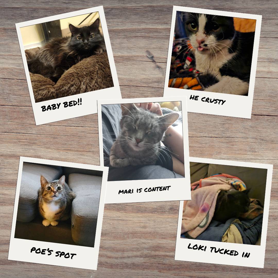 Ouiji, Cid, Mariposa, Poe, and Loki