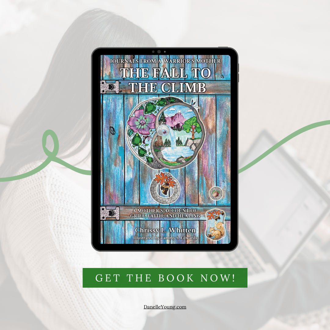 The Fall to the Climb by Chrissy Whitten