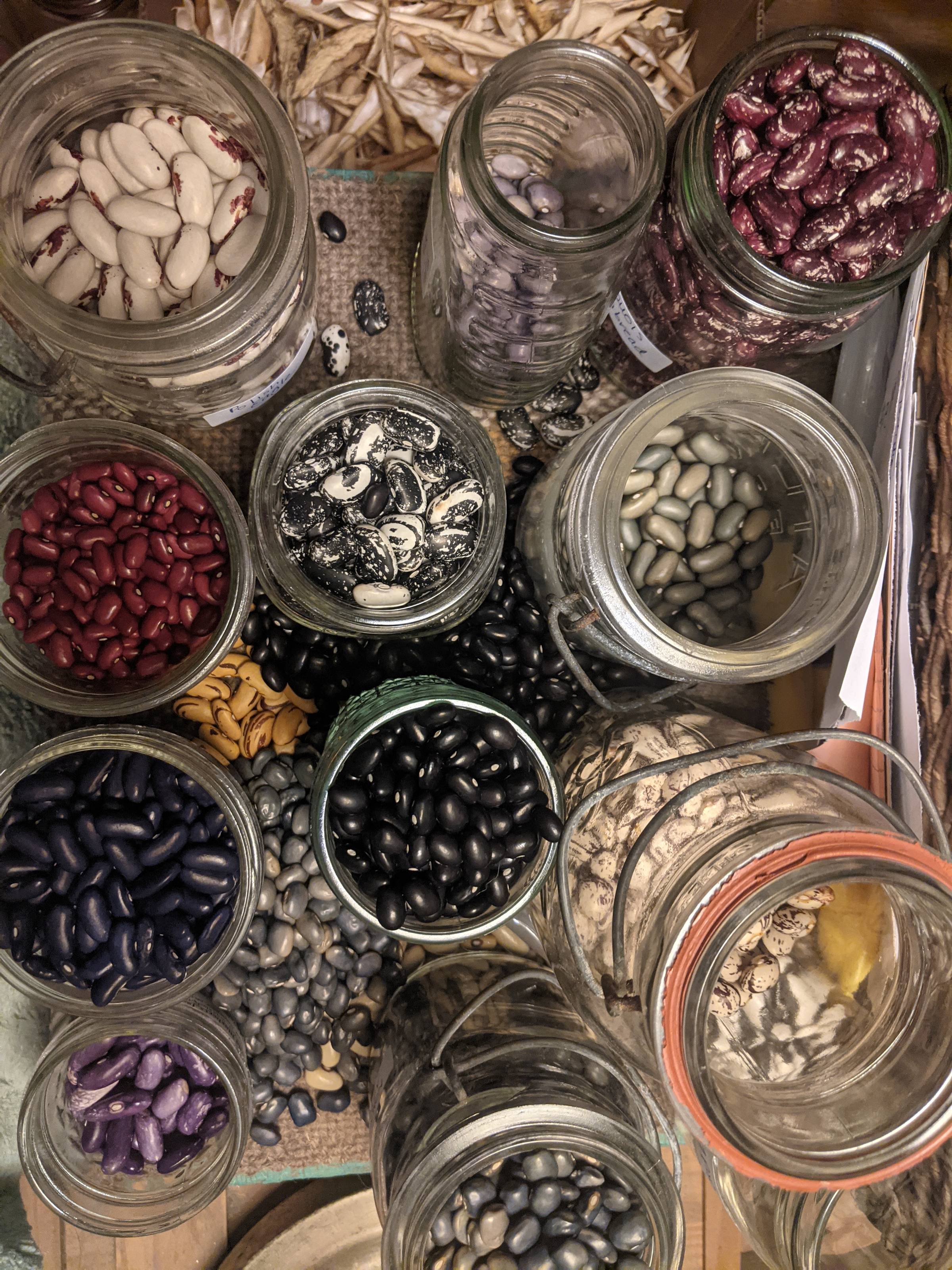 various jars of colorful dried beans