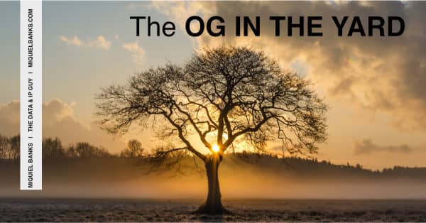 Banner - The OG in the Yard