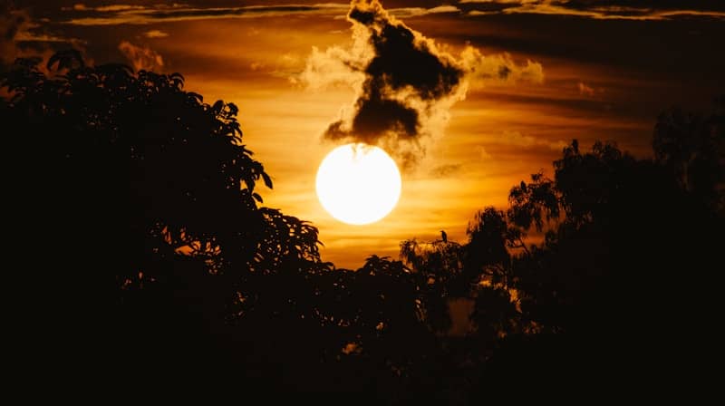 The sun shines brightly through trees and clouds.