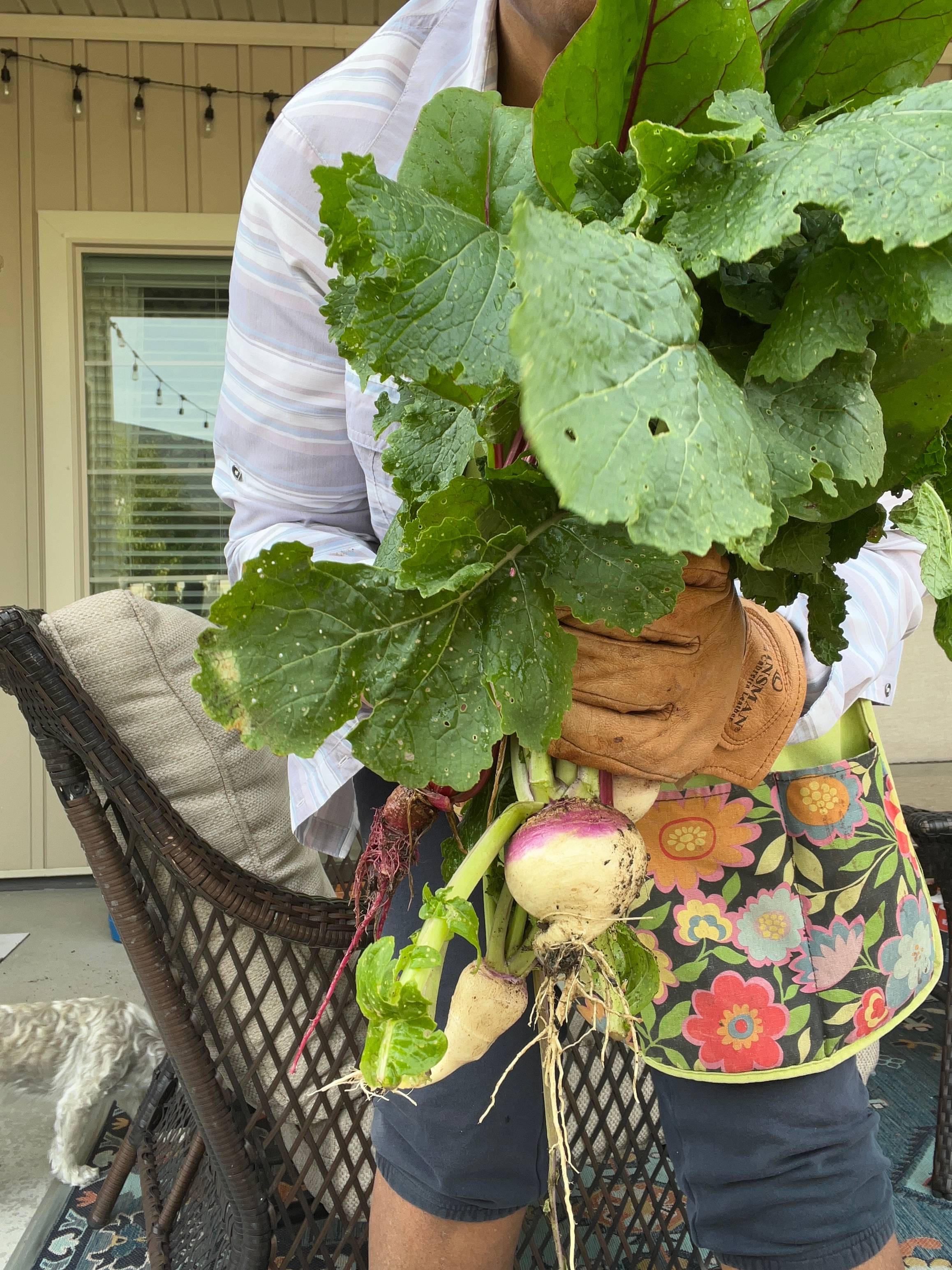 Parts Of Plants We Consume