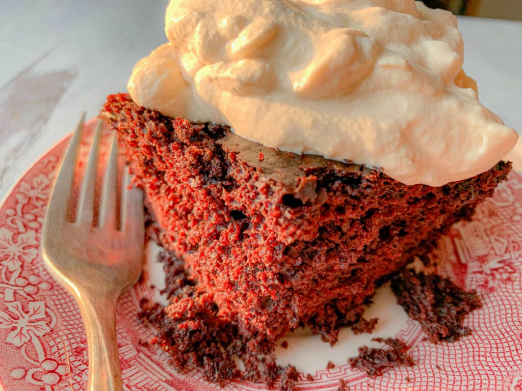 Chocolate beer cake with whipped cream.