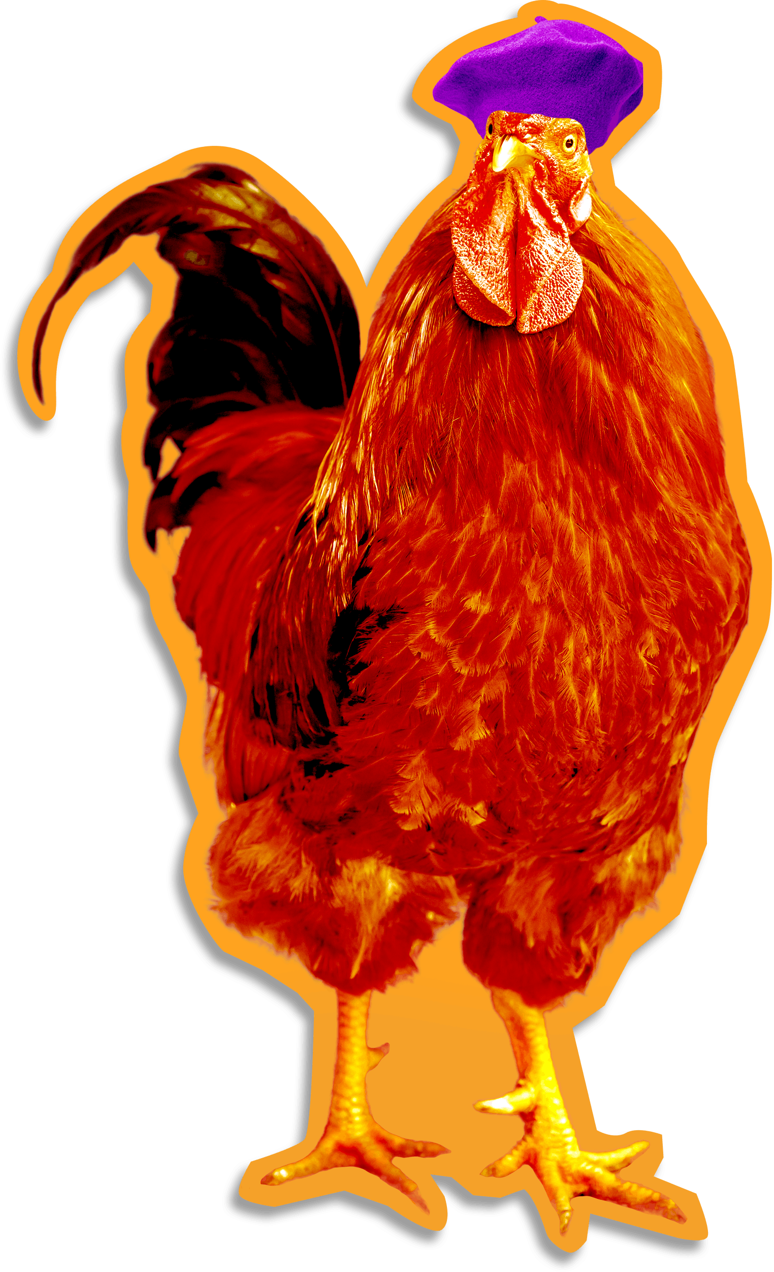 Roger The Rooster