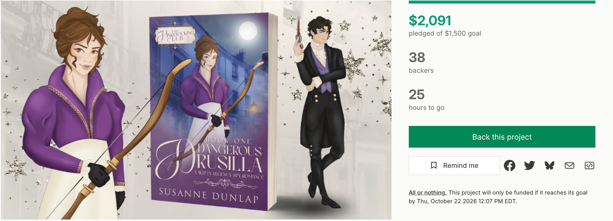 The Kickstarter Page