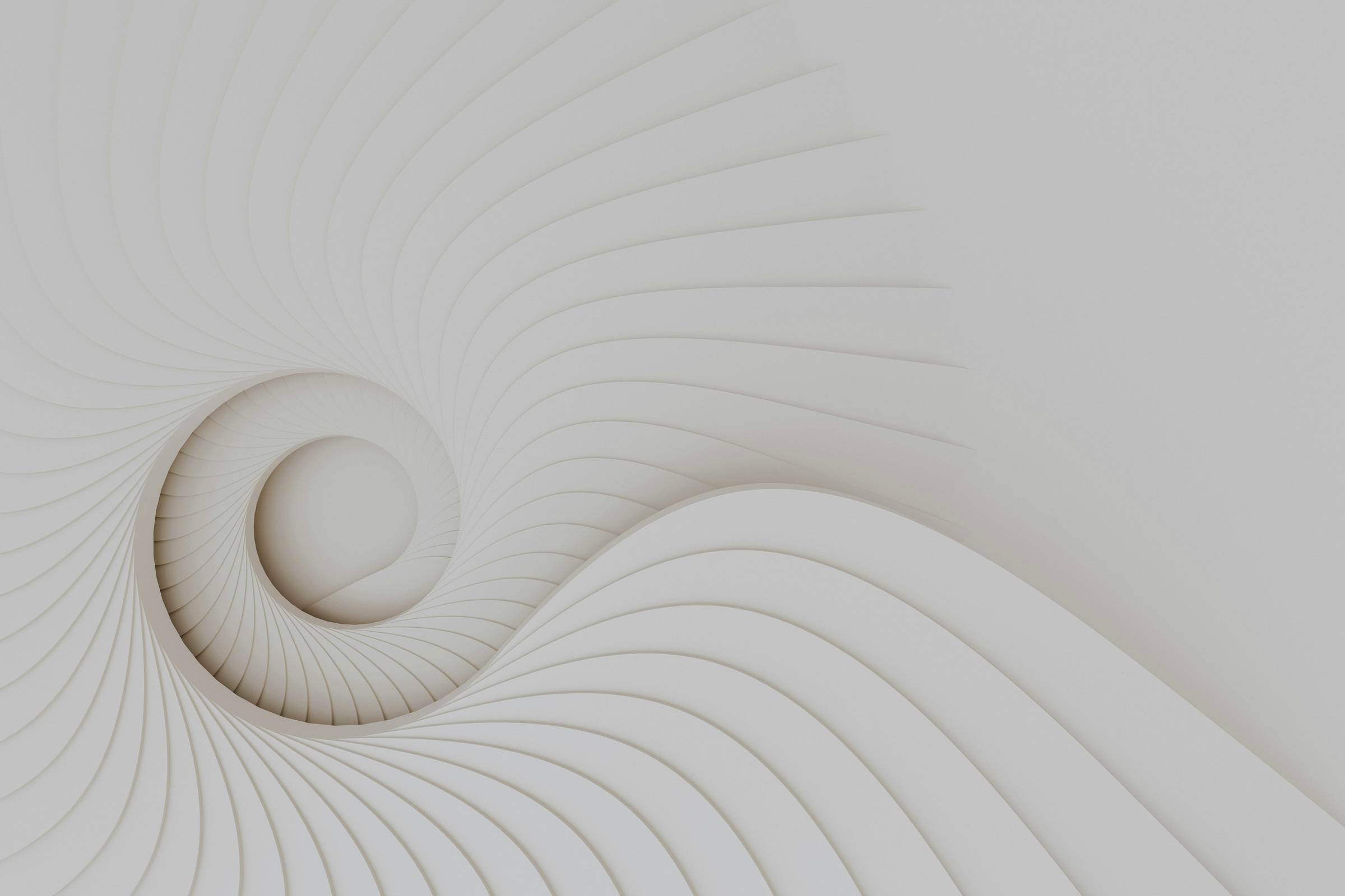 White textured swirl nautilus shape