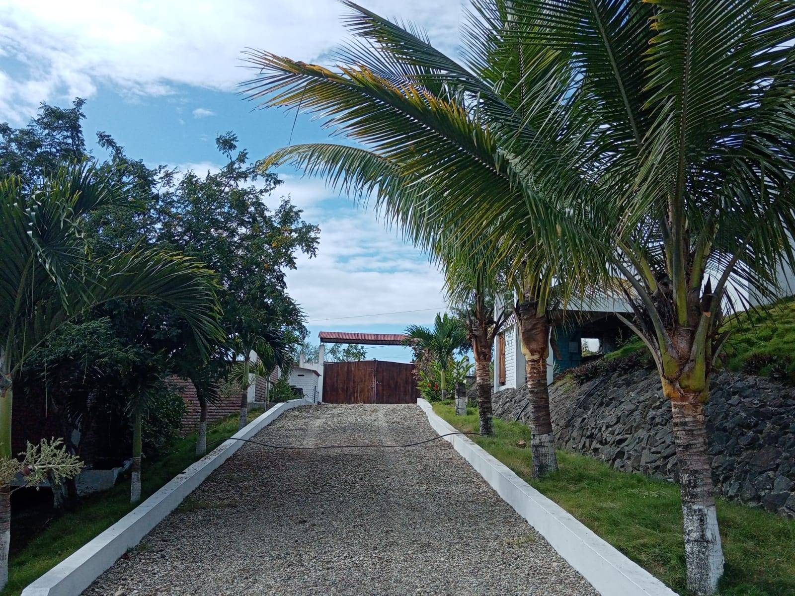 Long driveway at Quinta Oasis