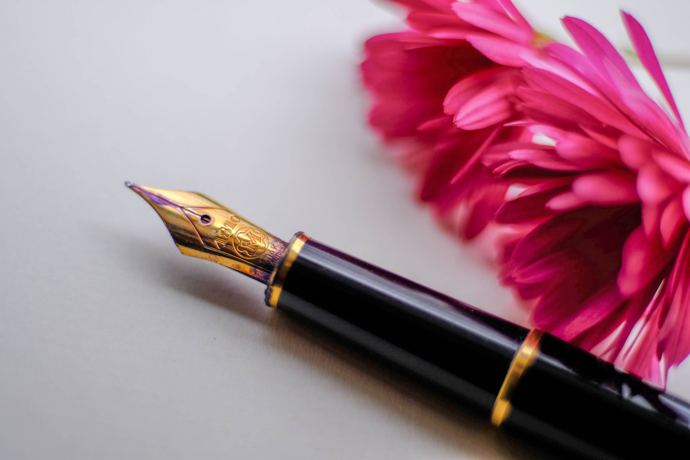 A fountain pen laying aside a pink flower