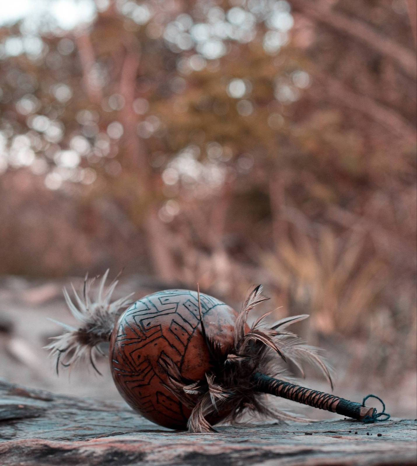 A Shaman rattle