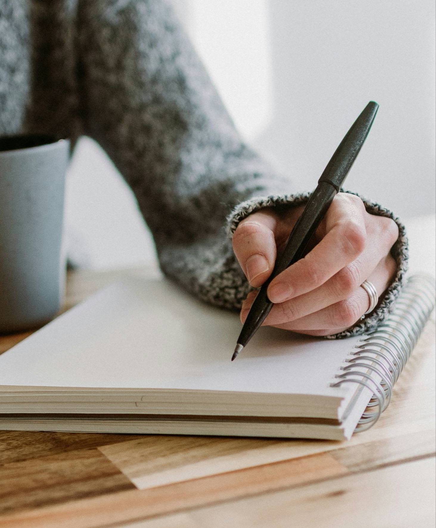 A succulent, notebook, and pen by a sunny window.
