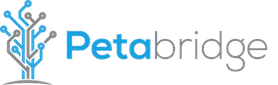 Petabridge - the Akka.NET Company