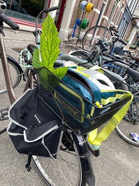 Leaf in the back of a bycicle. 