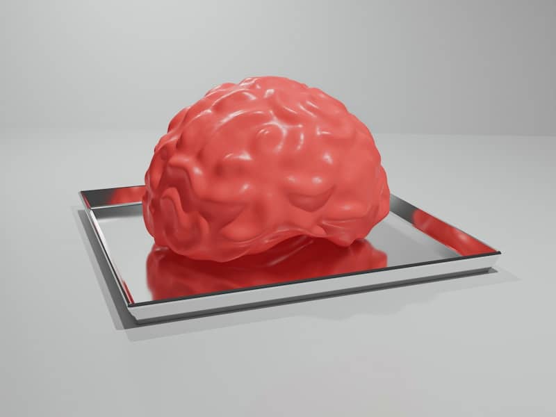 A red brain sitting on top of a metal tray