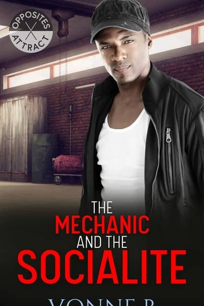 The Mechanic and he Socialite