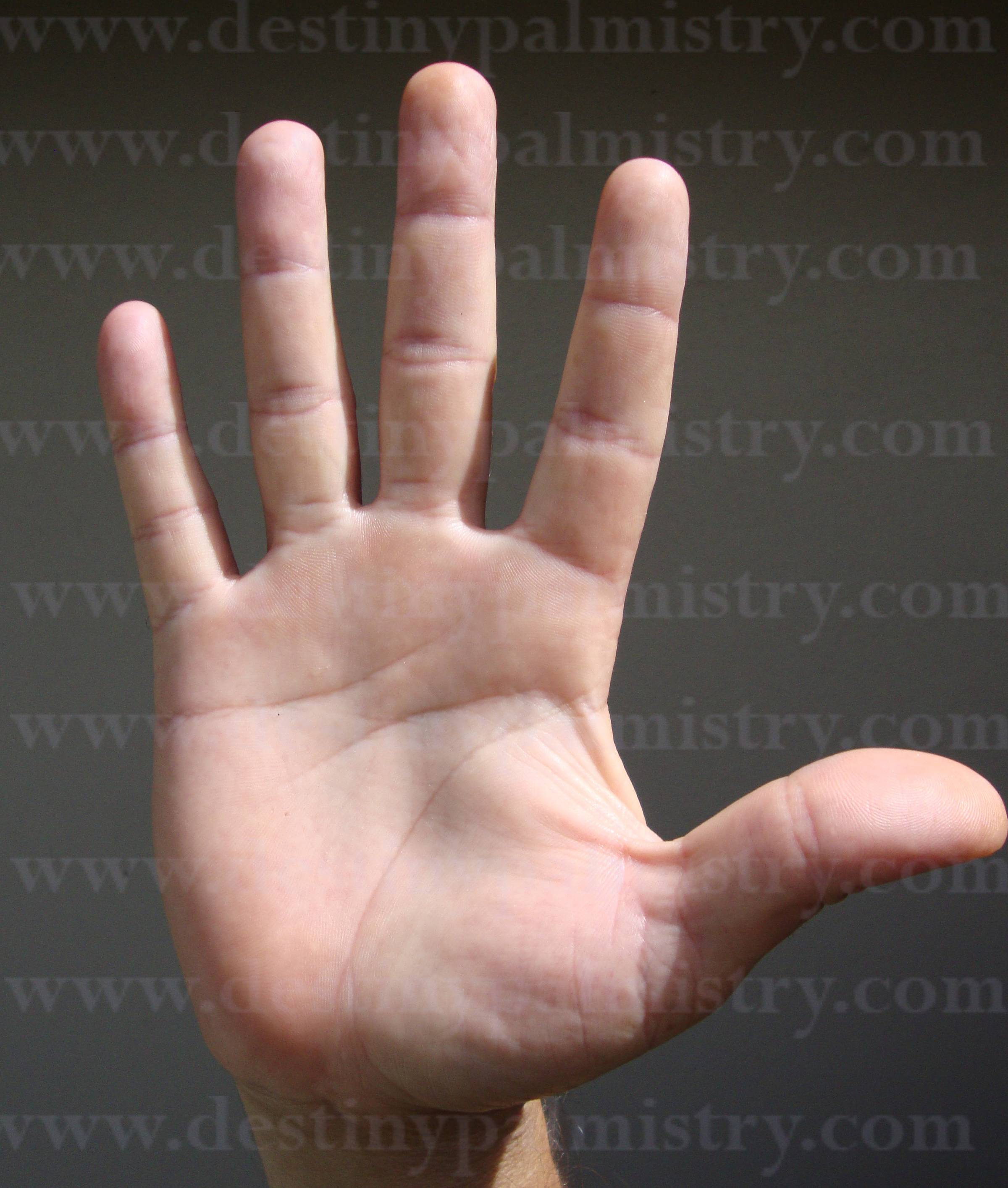 Finger length in hand analysis