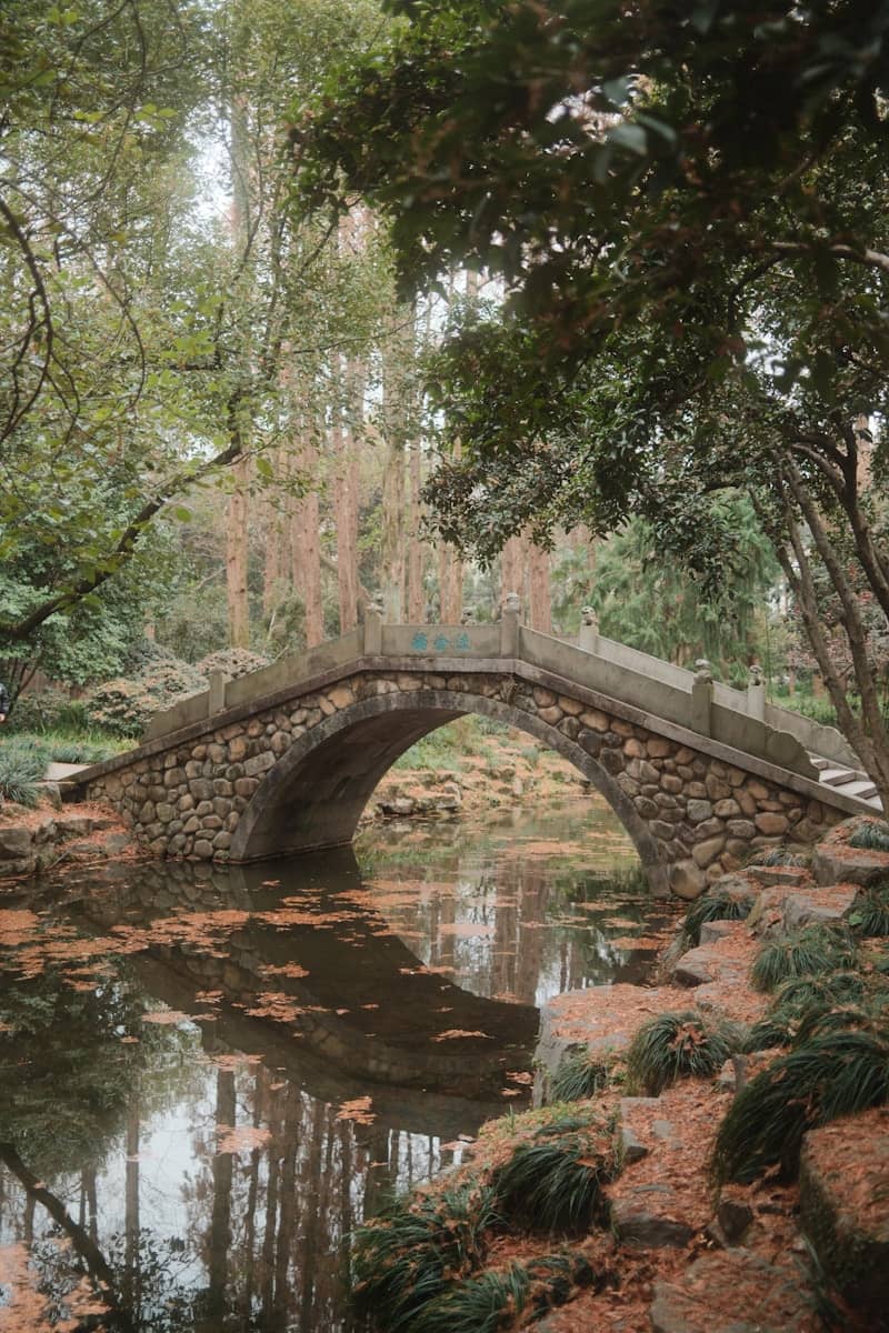 Stone bridge over a calm river in a forest