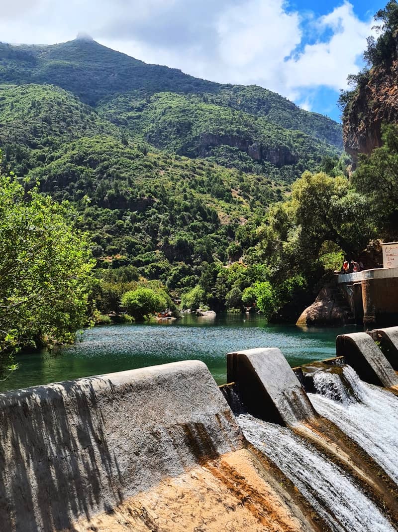Water cascades over a dam into a lush green valley.