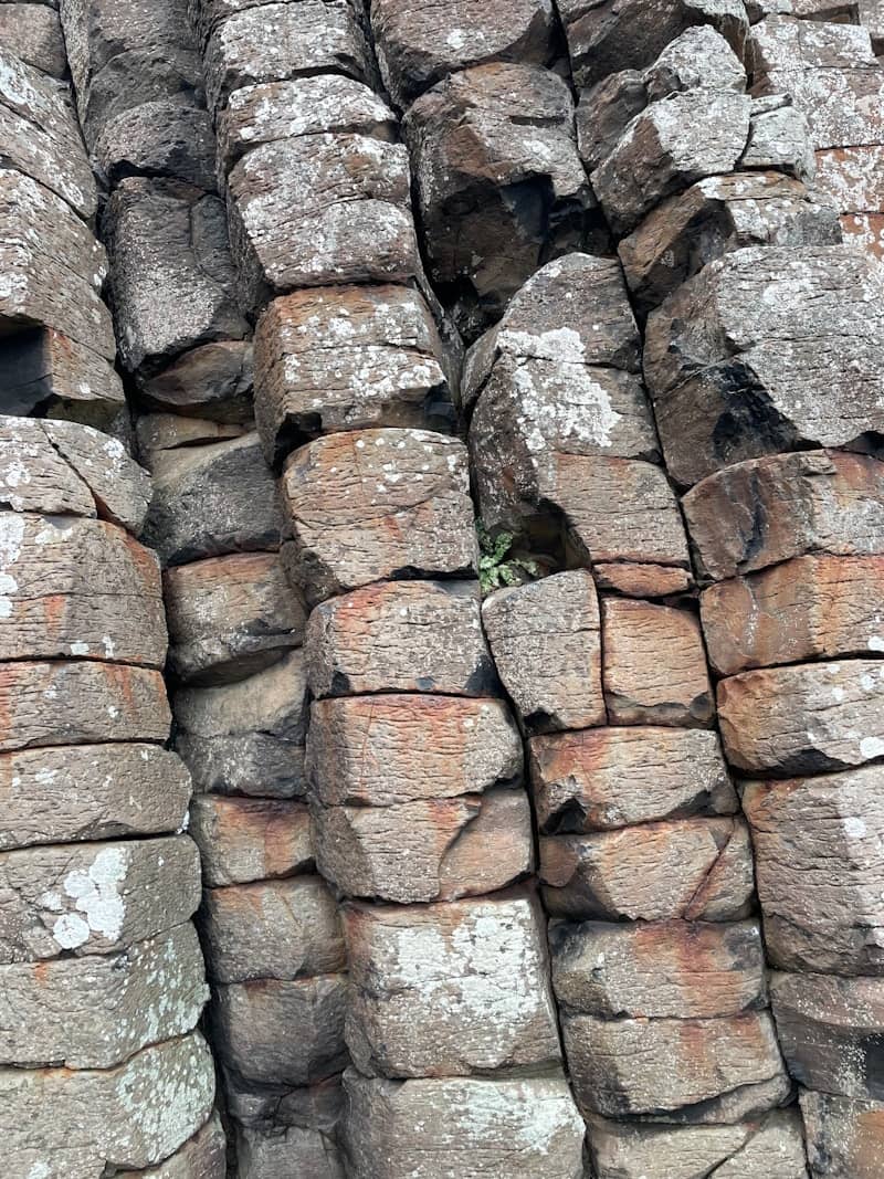 Interlocking hexagonal basalt columns form a natural rock wall.