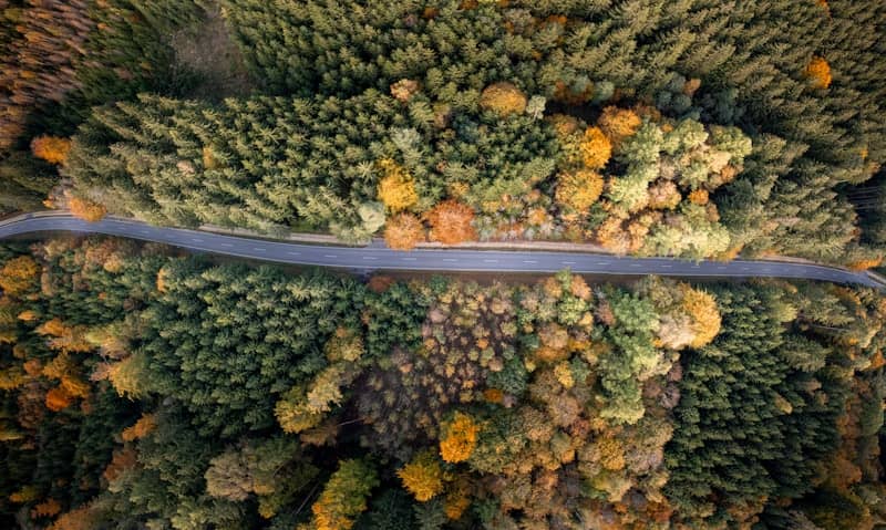 Aerial view of a road through an autumn forest