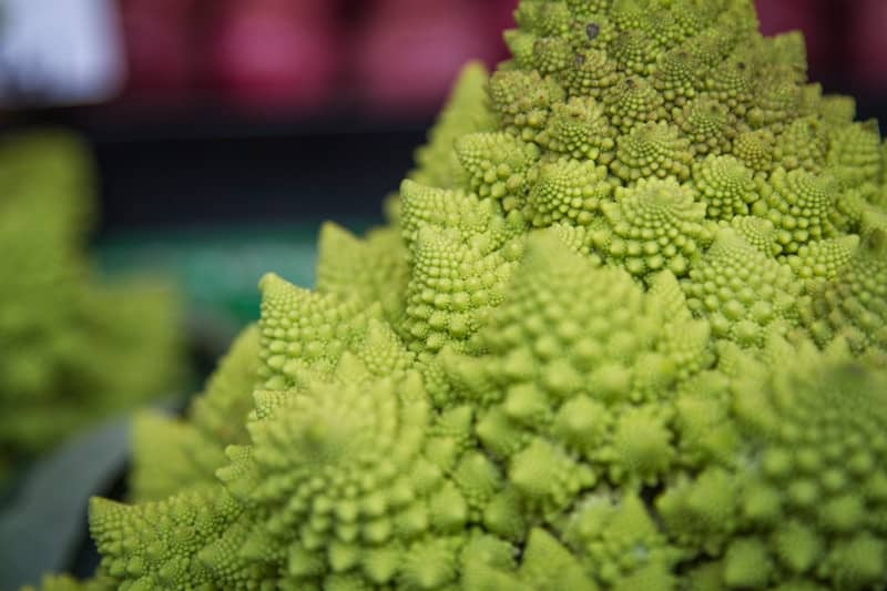 a close up of a bunch of broccoli