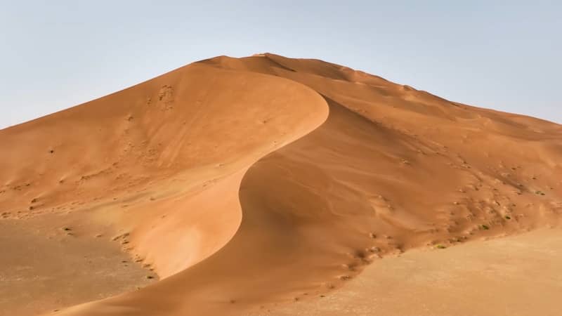 A dune in the desert under a light sky.