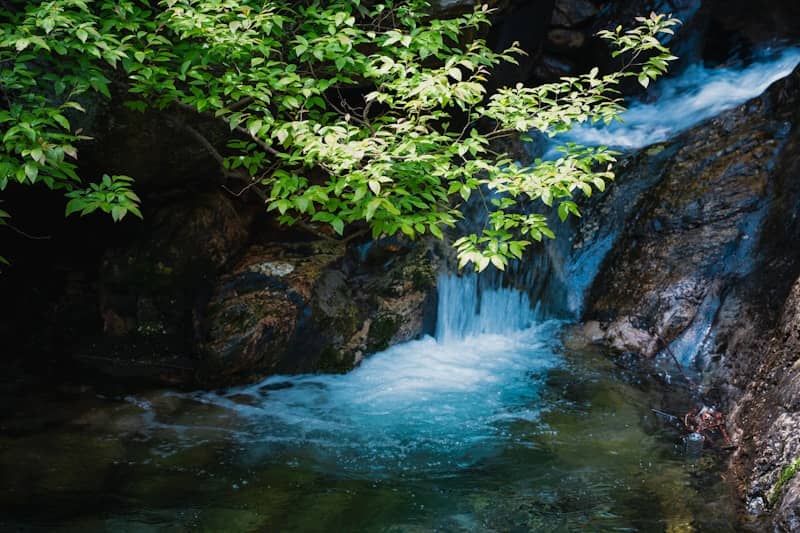 A small waterfall cascades over rocks into a clear pool.