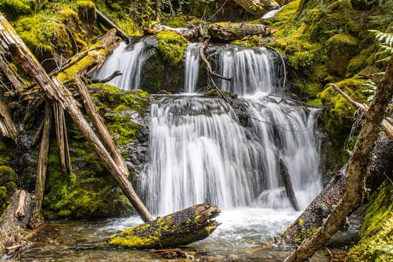 A beautiful waterfall cascades through a lush forest.
