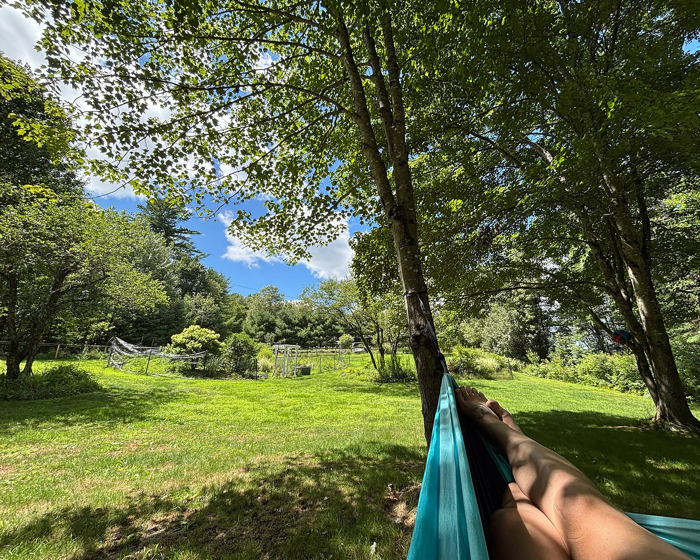 Sit in a hammock in the shade, on a sunny day, looking out over your garden to the blue bird sky.