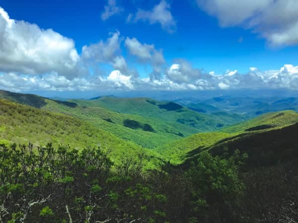 Craggy Gardens Asheville NC
