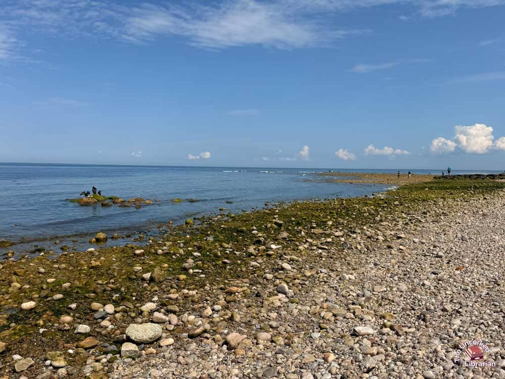 Cape Cod shore
