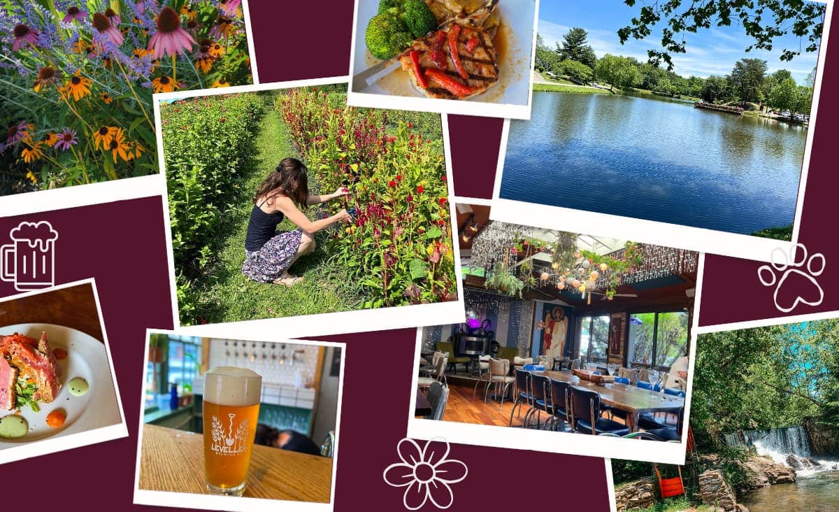 collage of Weaverville things to do