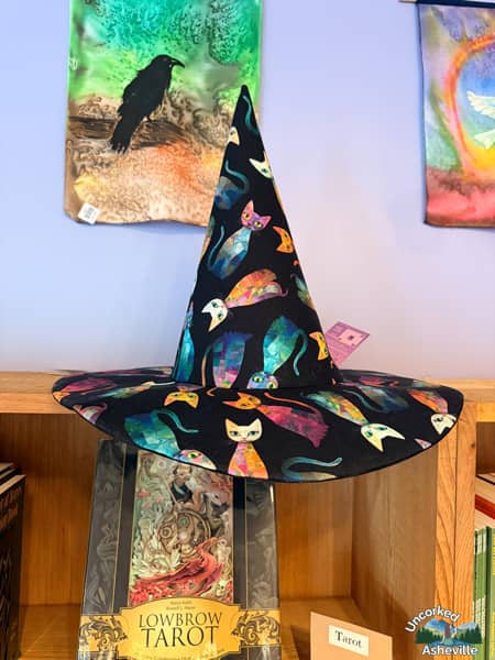 Asheville Raven & Crone witch hat