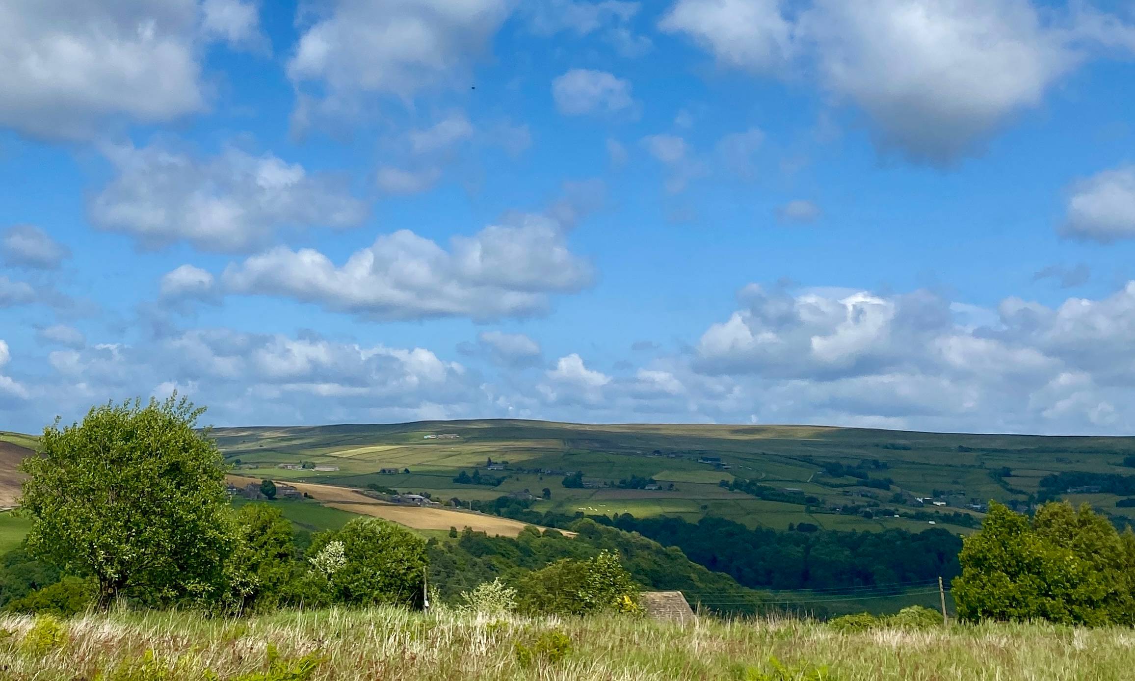 Calderdale landscape in summer with blue sky, white clouds, green fields and forest.