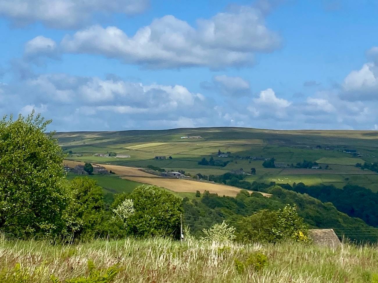 Classic Calderdale summer landscape with blue sky, distant moors and green fields above wooded valley.