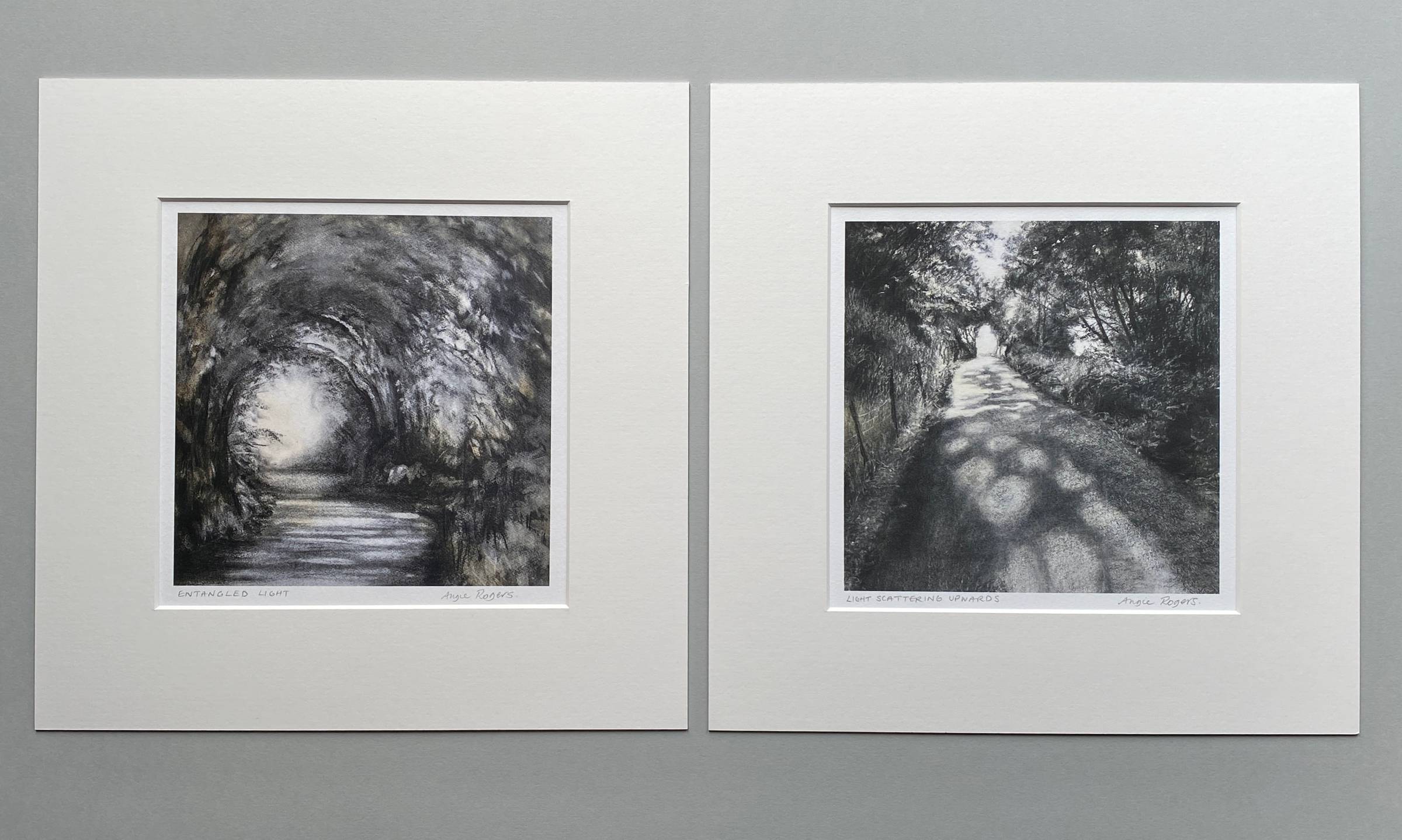 Two monochrome square prints of woodland in off white mounts on a mid grey background.