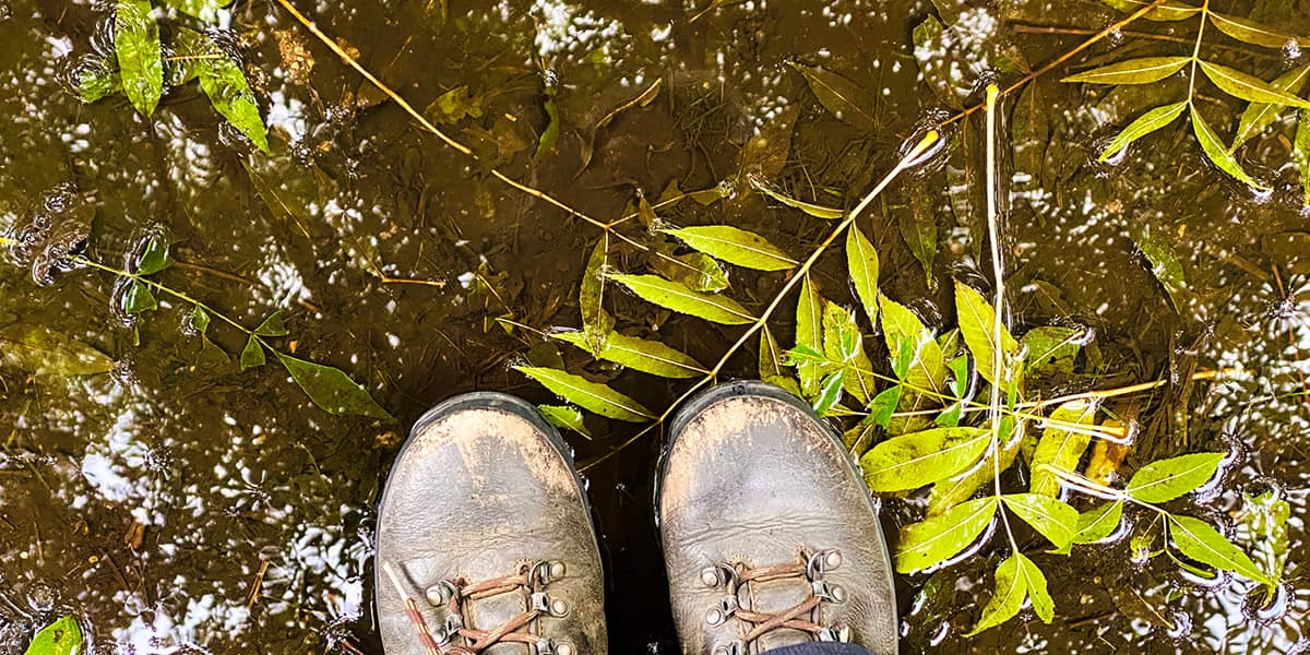 Leather-booted feet in a puddle with fallen leaves, reflecting underside of tree. 