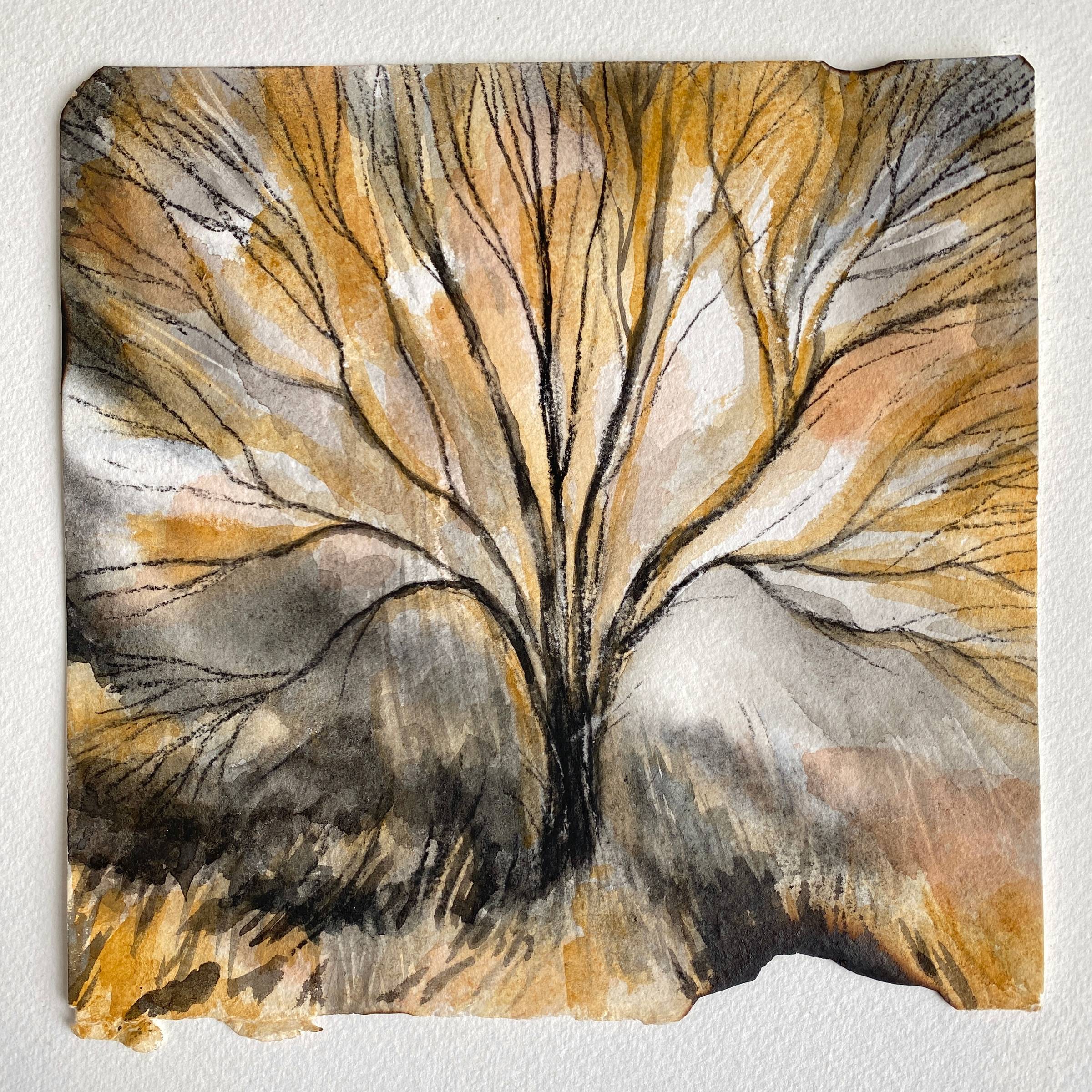 A tree in artist made watercolour, charcoal and ink on paper