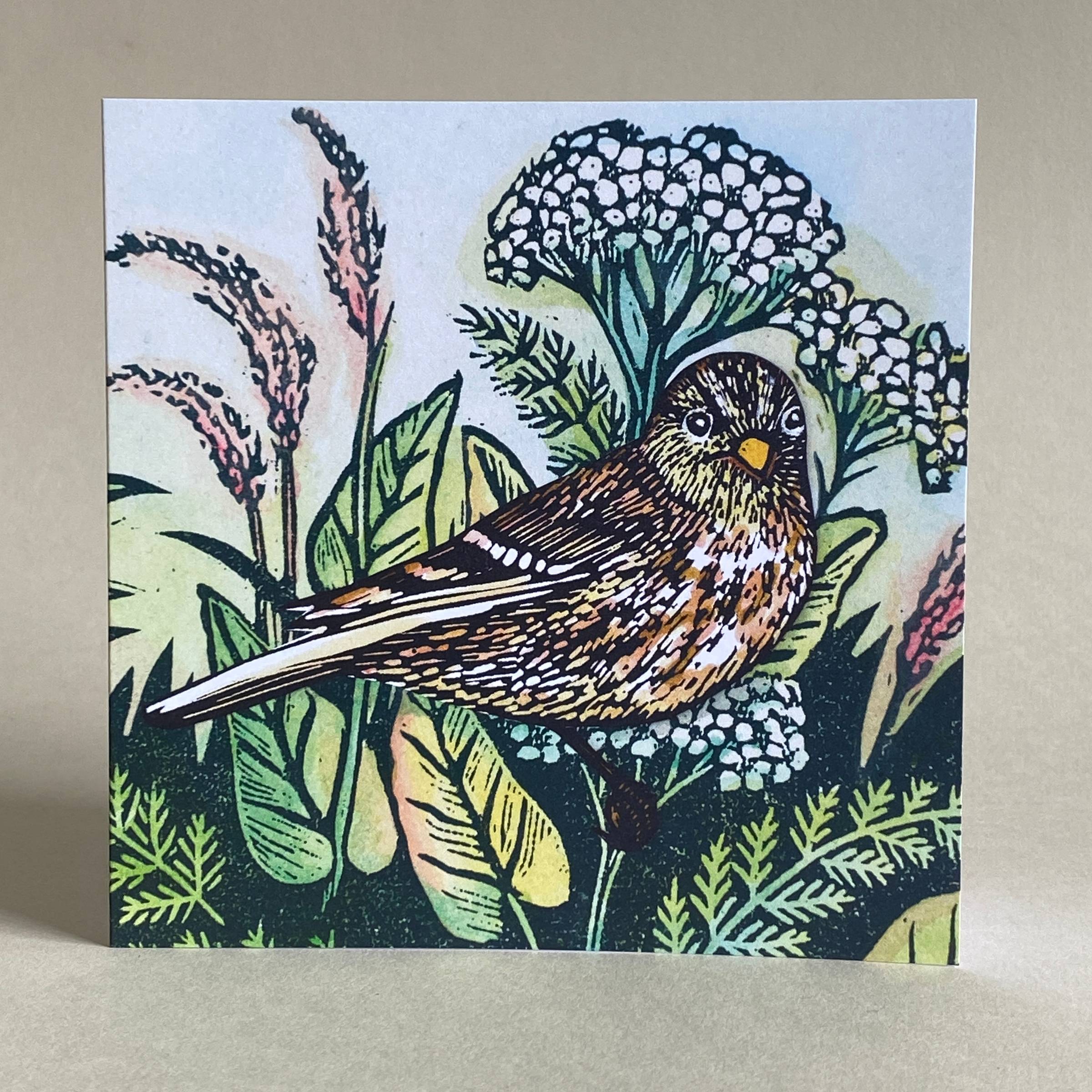 greetings card depicting a small brown Twite bird on yarrow and sorrel plants.