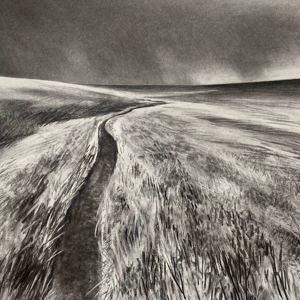 Moorland path drawn in charcoal