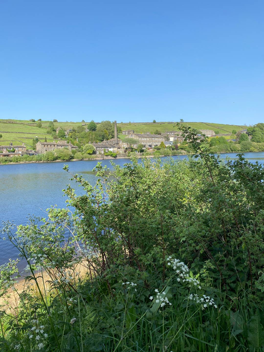 A summery reservoir with blue sky and water and green trees