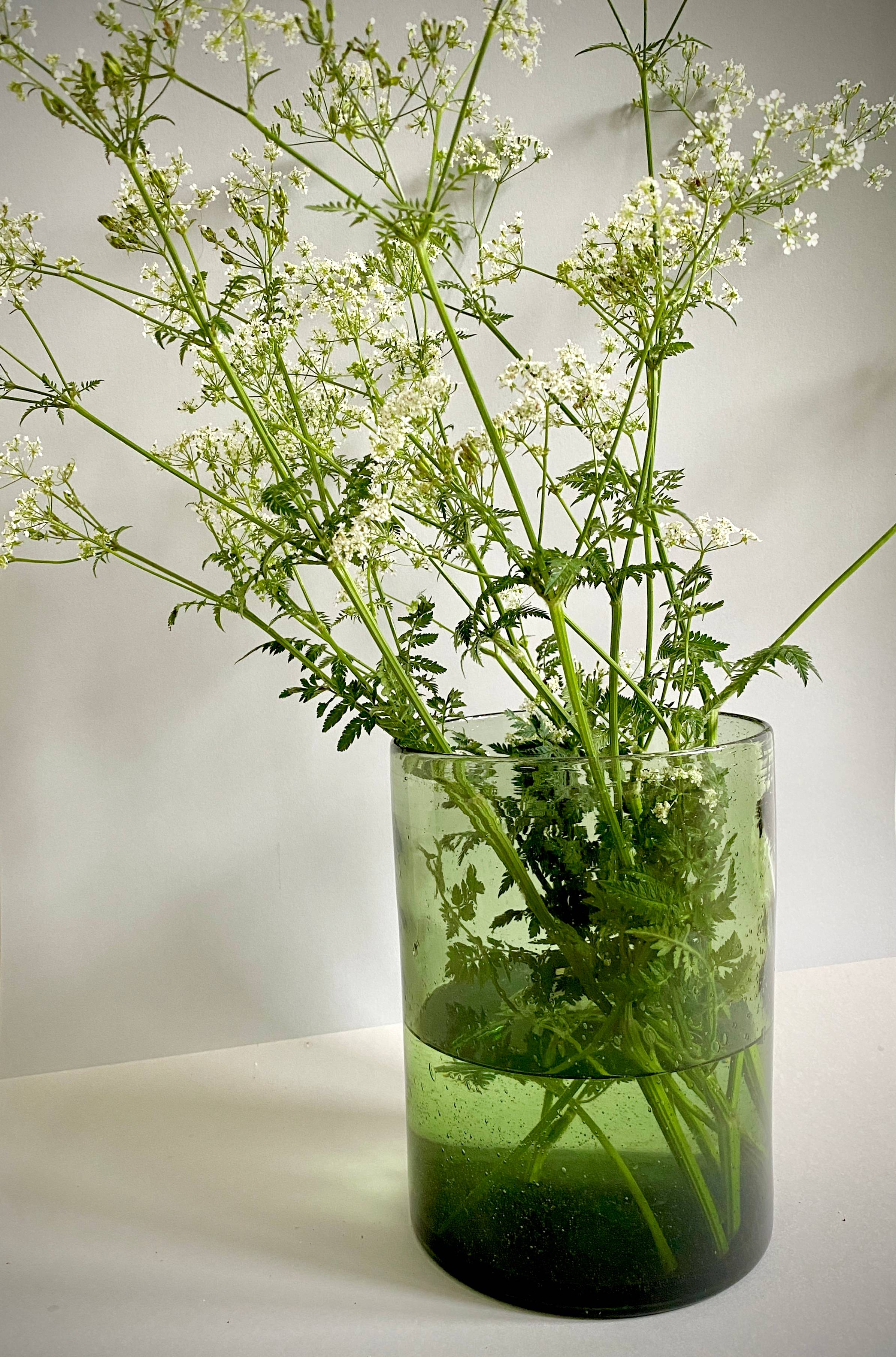 cow parsley blooms in a green glass vase against pale grey background.
