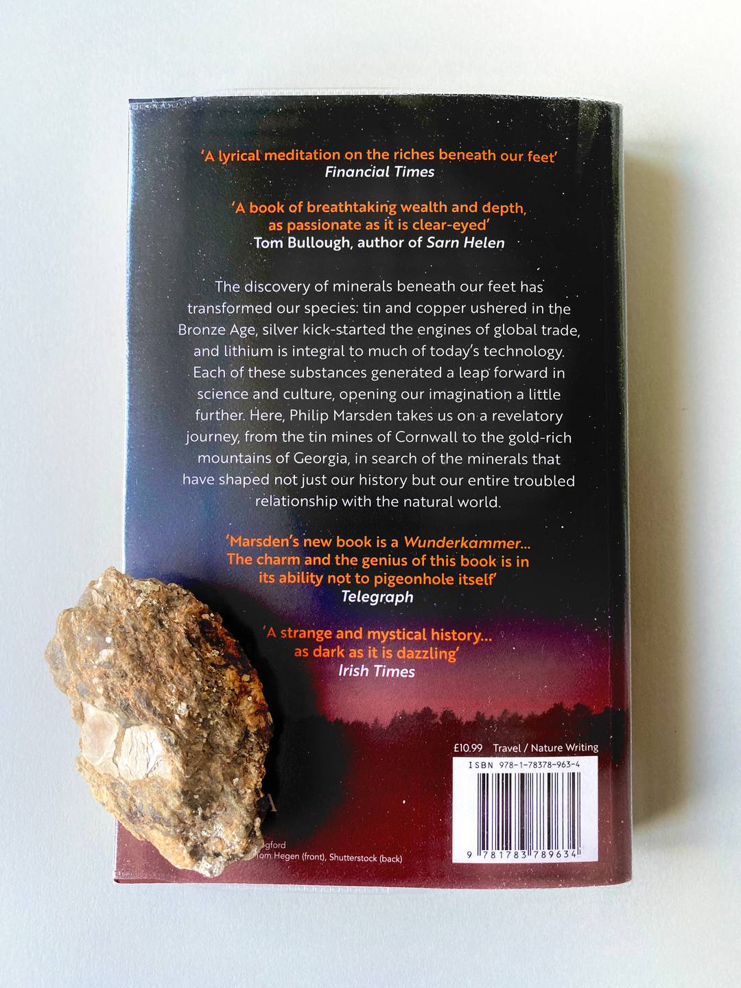 The back cover of a paperback book with a sparkly rock on top.